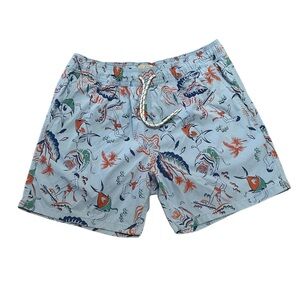 J. Crew Swim Trunks 🏄‍♂️ 🌴 🐟